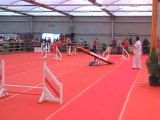 Agility Avignon oct 12 Eden Open