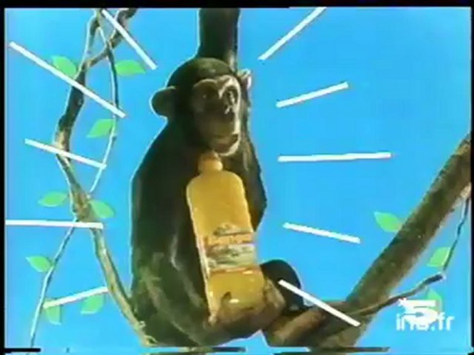 Pub Banga crocodile couloir annees 80