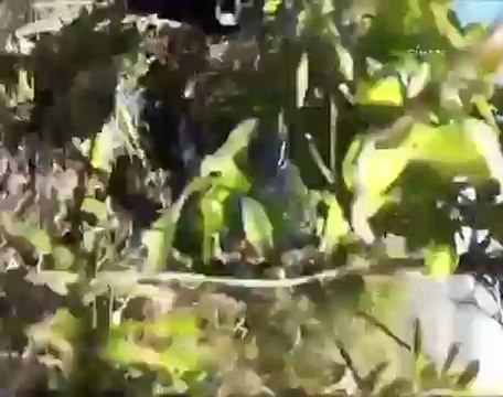 190 km hızla dağa böyle çarptı