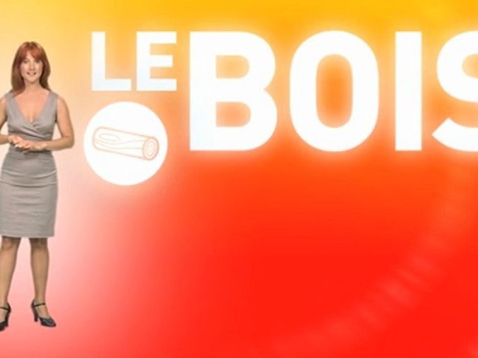 Se chauffer au bois