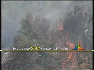 Φωτιά στις Ερυθρές. Αποφεύχθηκαν τα χειρότερα.