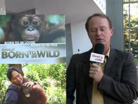 NewCa.com: Born to be Wild: Orphaned Elephants and Orangutans