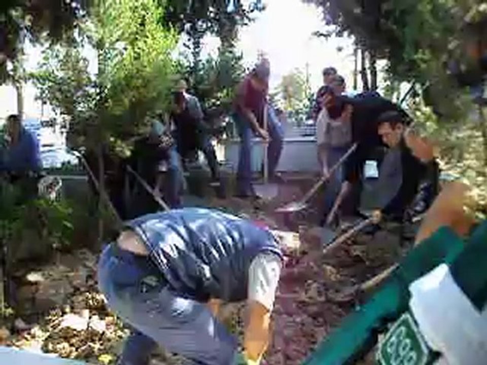 MOV00904