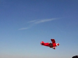 Vols du Pitt's de Laurent