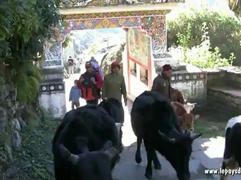 partie 1 / 4, Tour Annapurnas et lac de Tilicho, trekking au Népal