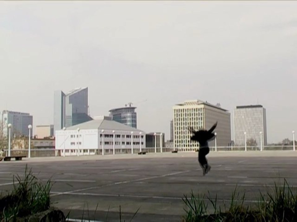 20 flowers, 7 buildings