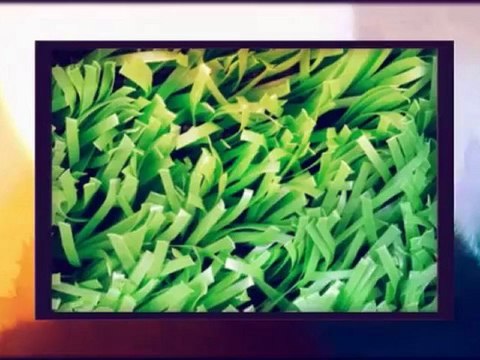 Woodruff Landscaping - (972) 380-1599