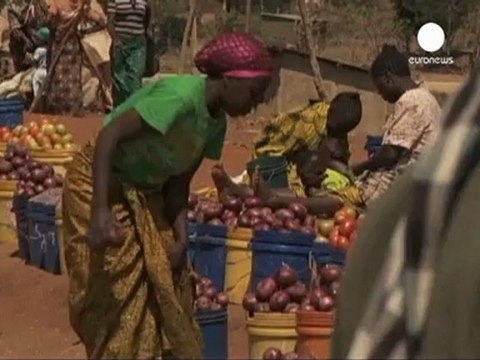 Rapporto Fao: nel mondo 870 milioni di persone denutrite