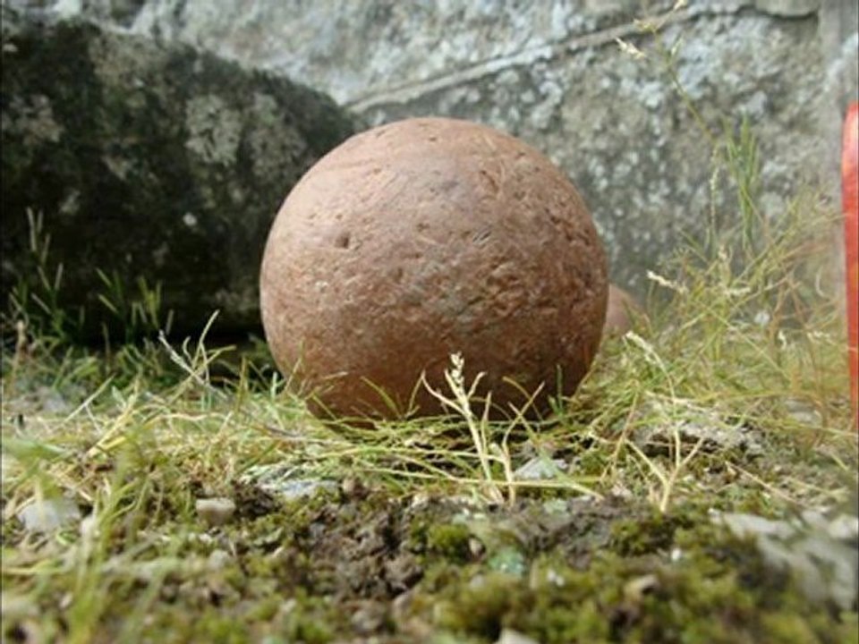 100 Patates 2012