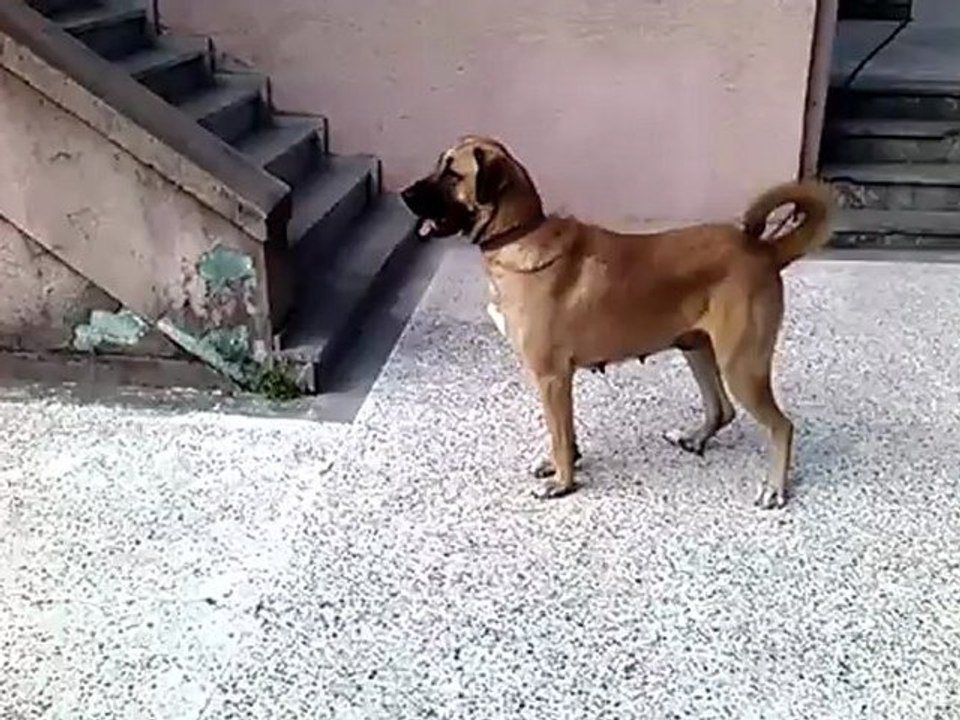 VID_20121006_112806