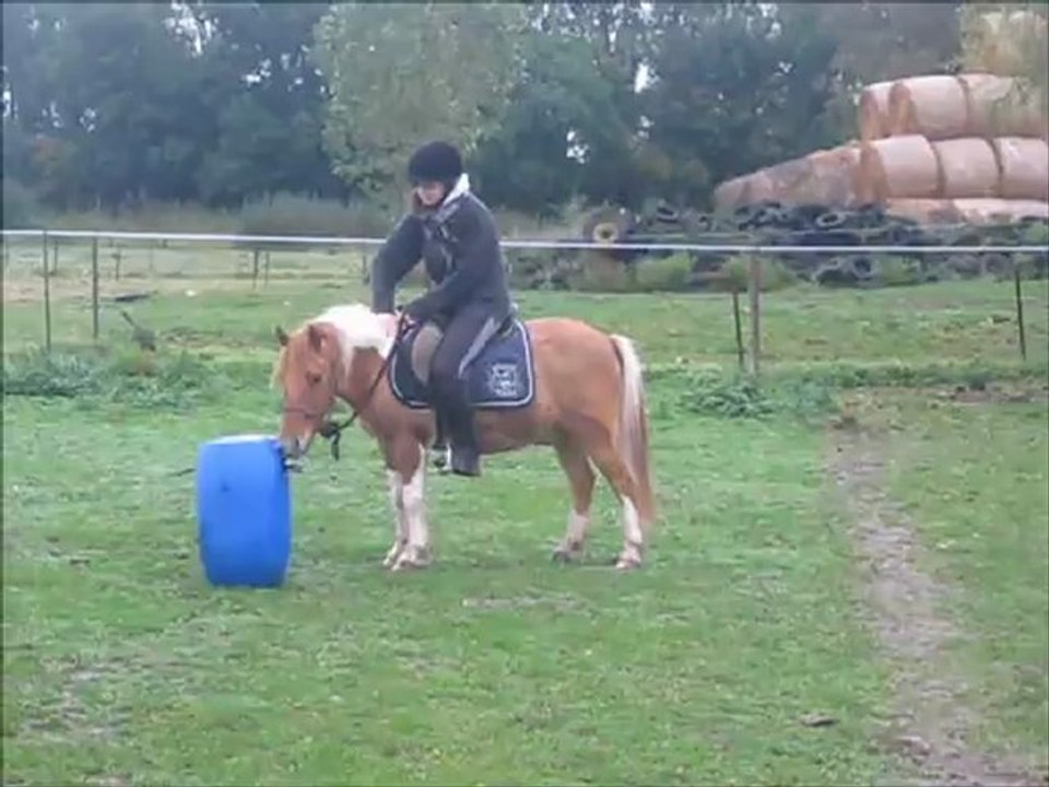 caramarionoctobre2012