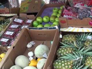 Procurando Elvis por Nova Orleans