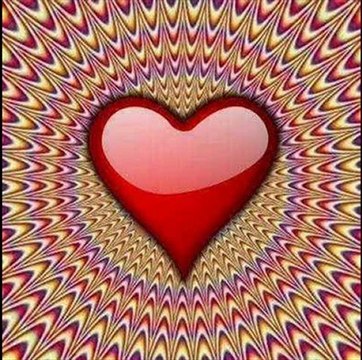 Gülcihan Koç Gülüm Yollardayım Gülüm