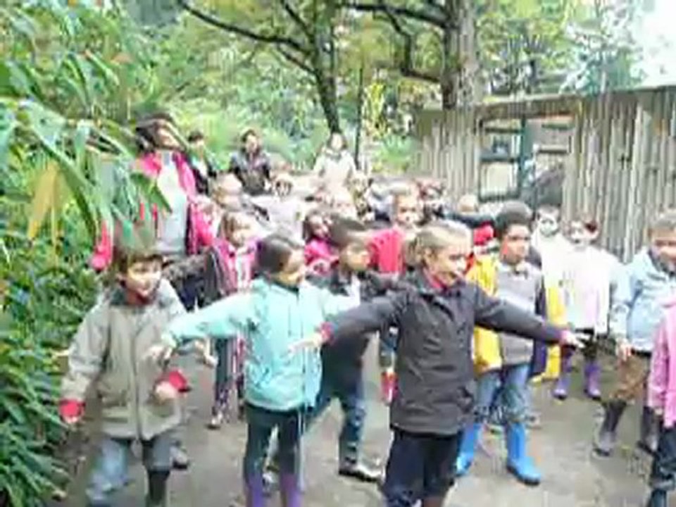 danse de l'autruche