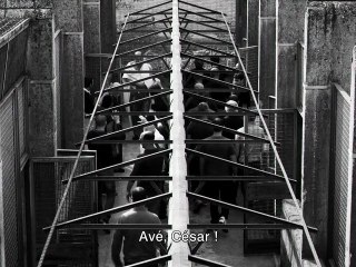 César doit mourir - Bande-annonce [VOST]