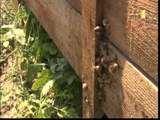 Reportage France Télévision