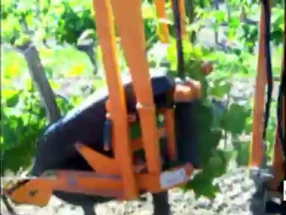 Palisseuse : machine à palisser la vigne