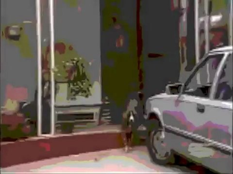 Pit bull awareness day 2012- Walk for Victims of Pit Bulls