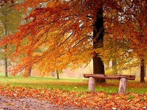 Yıldırım Gürses*Sonbahar Rüzgarları...*