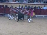 Rui Graça Amadores de Vila Franca pega toiro Palha segunda tentativa