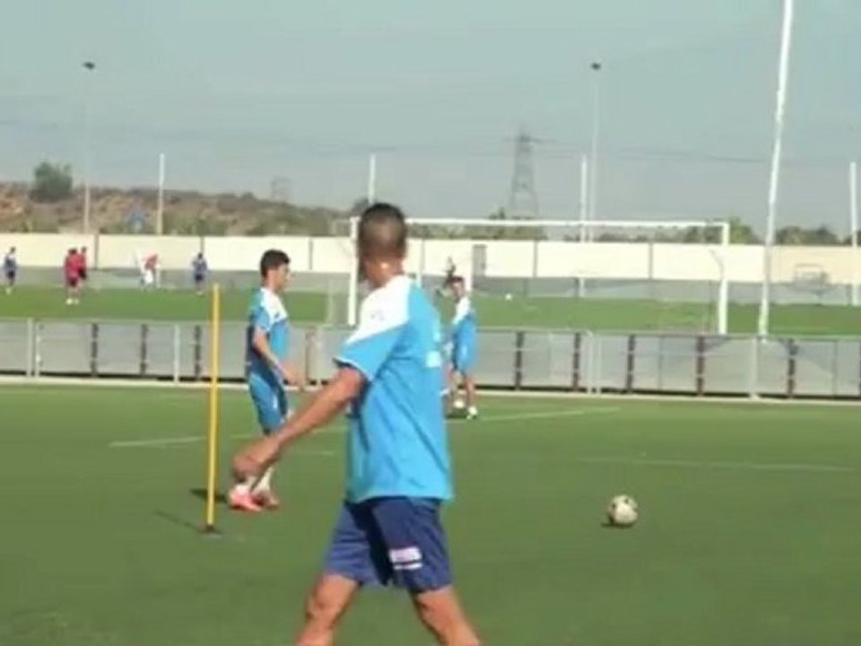 FV