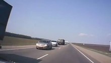 Дерзкий побег гусей