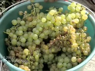 La caméra en balade - Fête de la vigne (06.10.2012)