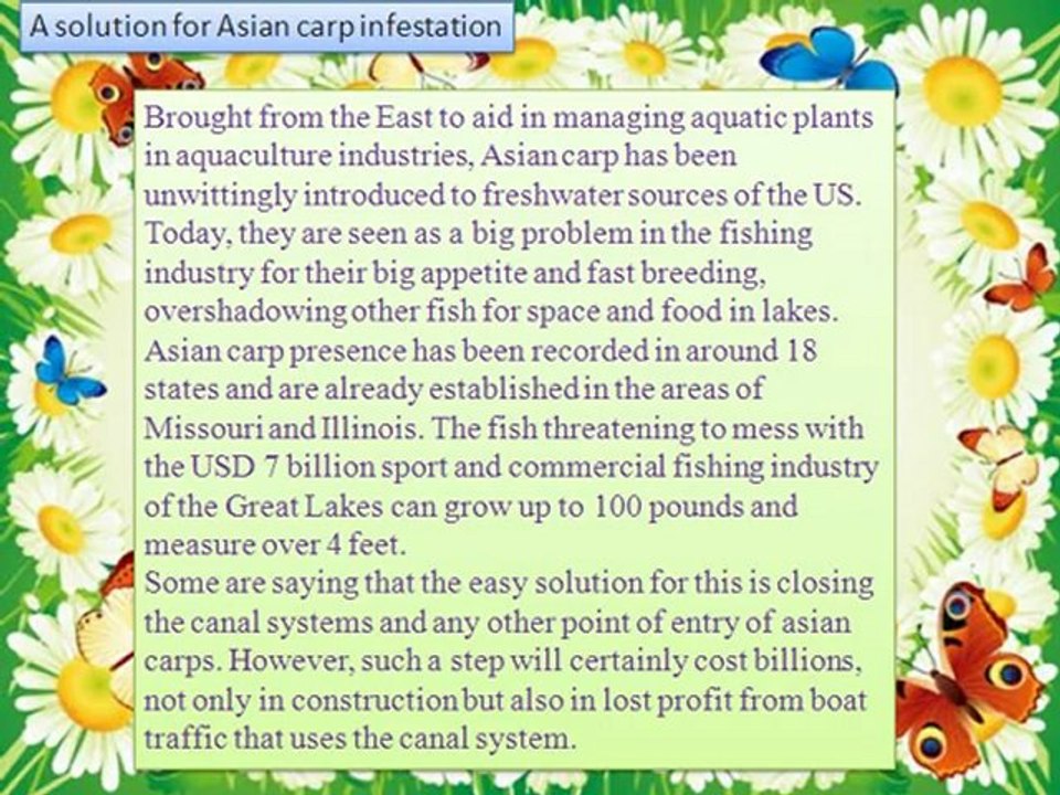 Crown Capital Management Jakarta Indonesia