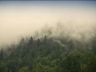 سورة المطففين فارس عباد