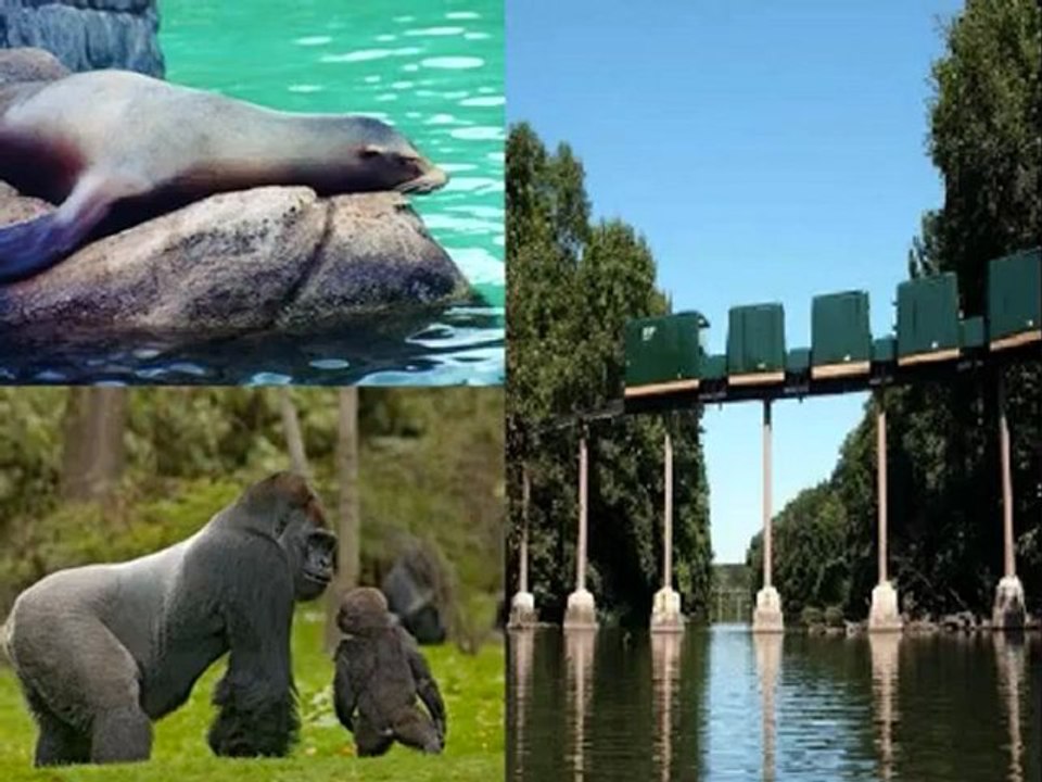 Tours in New York City – Top Attractions, Audio Walking Tours and City Tours in New York City