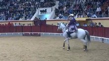 ANTÓNIO RIBEIRO TELLES EM VILA FRANCA PERANTE UM TOIRO PALHA