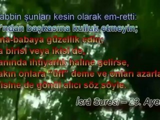 BABA*OĞUL VE BİR SERÇE