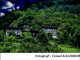 yuvasız kuşlar gibi gezer seni ararım