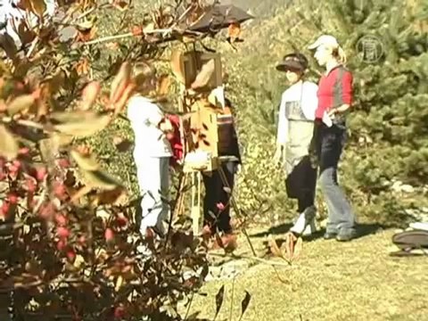 Сказочную красоту Кавказа пишут с натуры художники