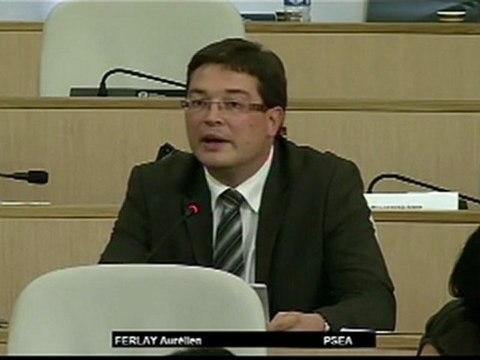 Décision budgétaire modificative n°1 de l’exercice 2012 - Aurélien FERLAY