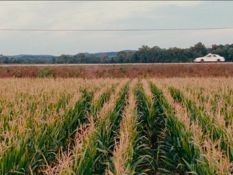 Stoker - Bande annonce VOST HD