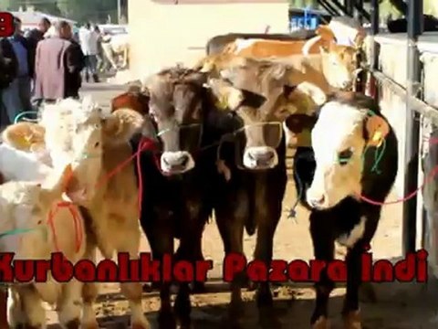 Bayburt'ta Kurbanlıklar Pazara İndi