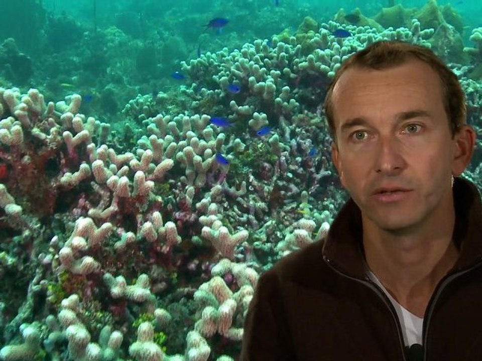 Paroles d'aires marines : Romain RENOUX