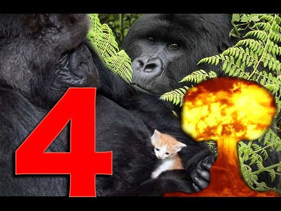 Invisible Gorilla Experiment Part 2