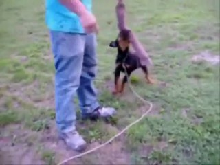 Ernesto 2 mois et demi