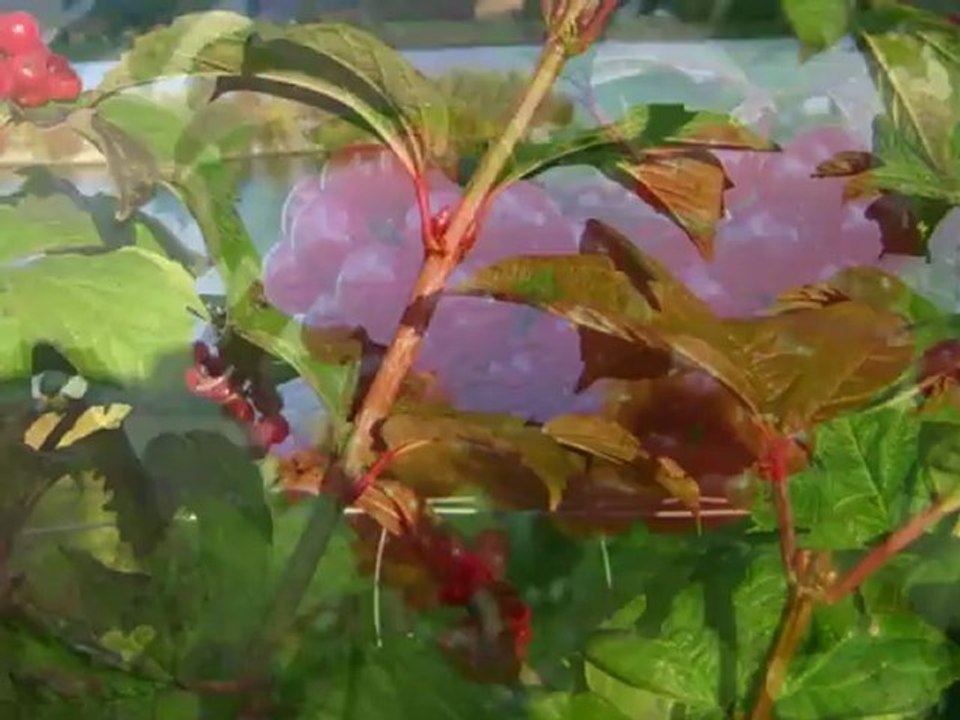 Fotostory-Indian Summer1