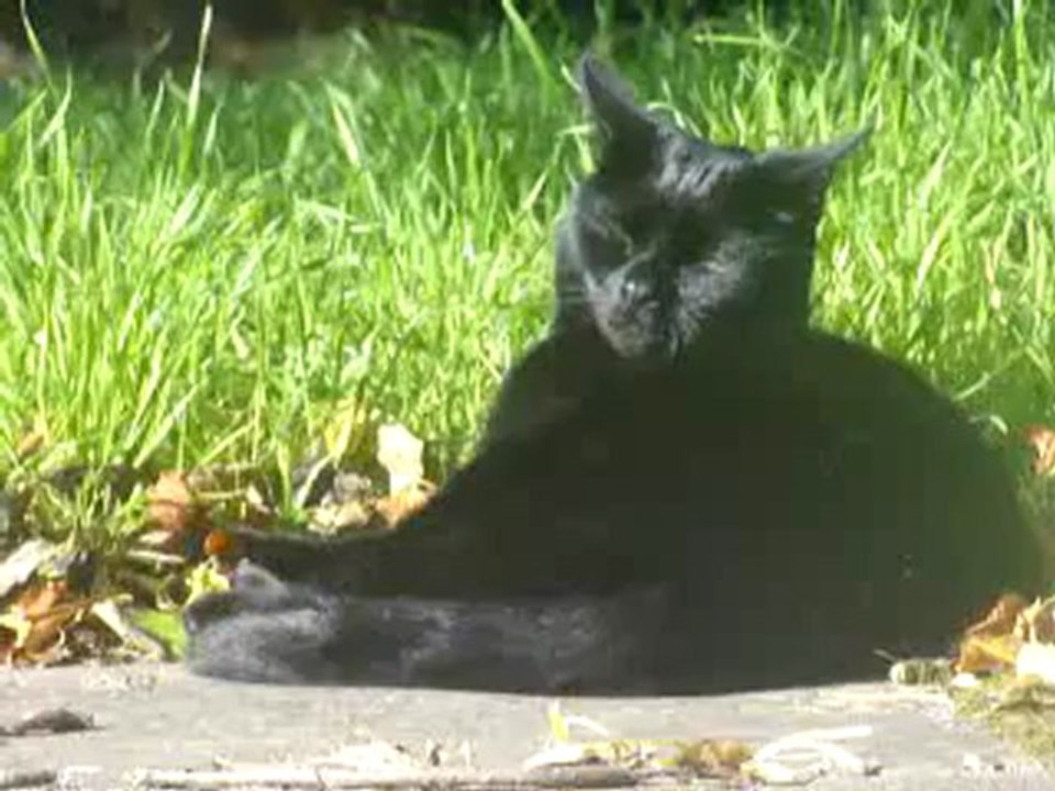 Jet 7th Oct 2012