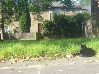 Jet and Midnight 7th Oct 2012