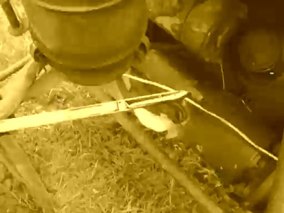 Fahr traktor & andres singt