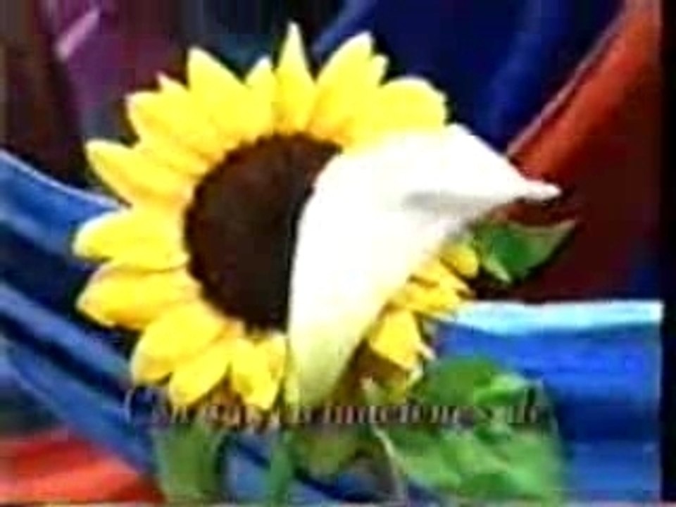 Maria isabel