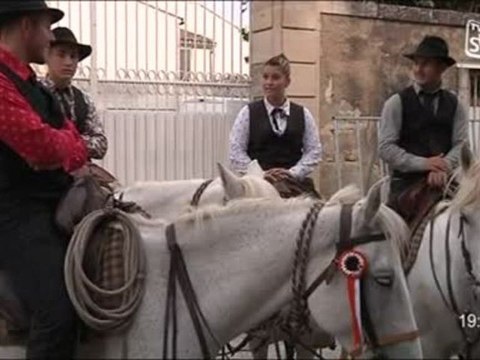 Finale du concours d’Abrivados (Nîmes)