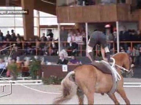 Equitation : Portrait de Flavien Mercier (Vendée)