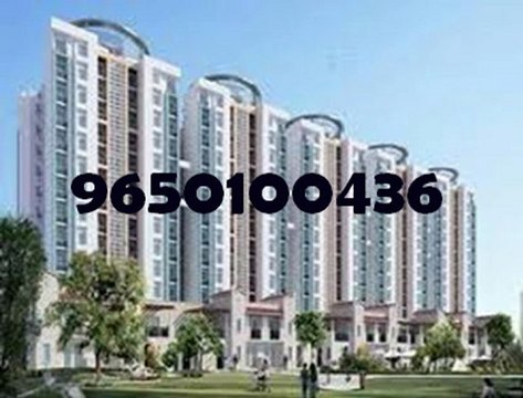Sector 37 D Gurgaon- 9650100436 Ramprastha Primera