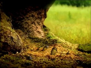 Minuscule - Bir ask hikayesi (Love story)