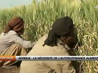 Afrique: La necessité de l'autosuffisance alimentaire